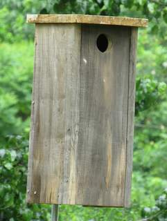 Flicker Nest Box
