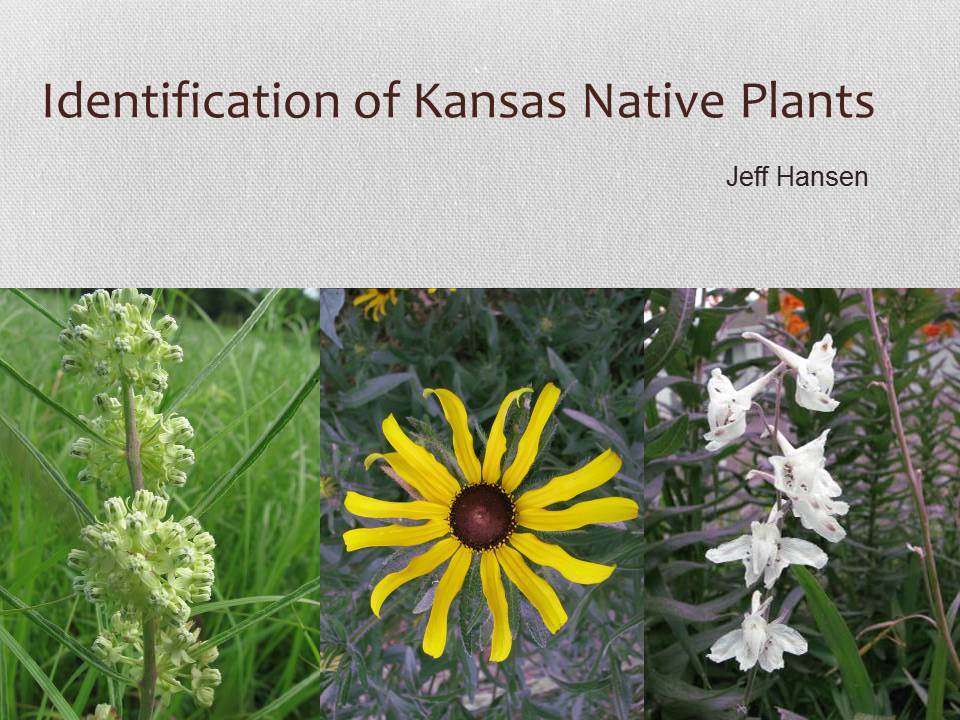 Identification of Kansas Native Plants